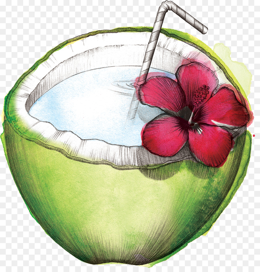 La Sandía，Agua De Coco PNG