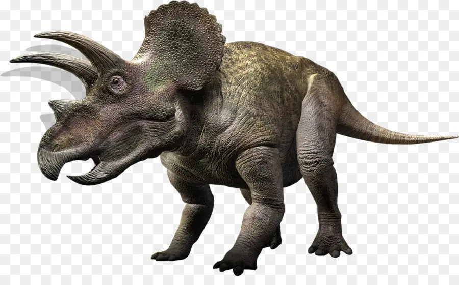 Triceratops，Prehistórico PNG