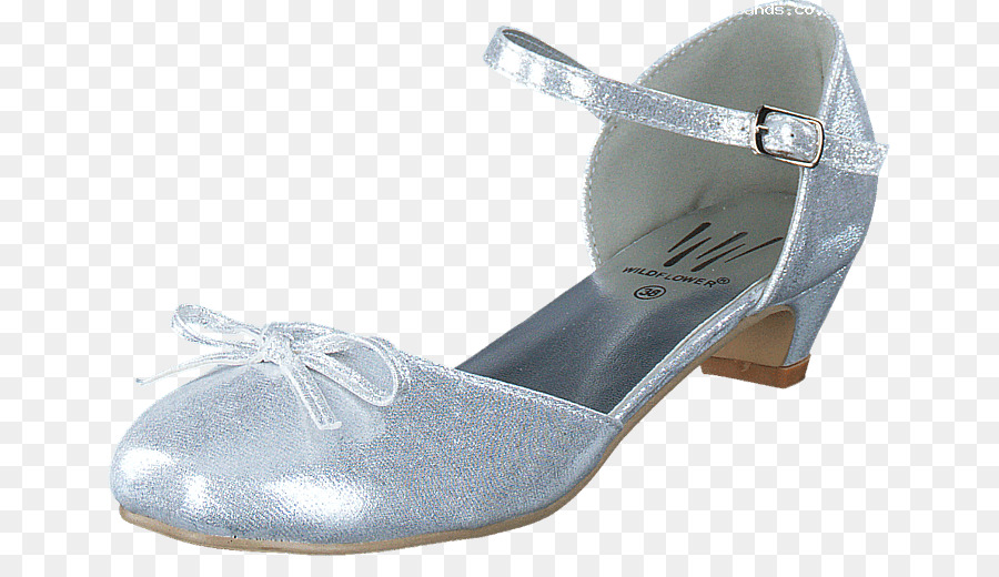 Zapato，Zapatilla PNG