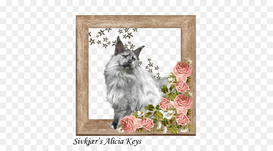 Bigotes，Maine Coon PNG