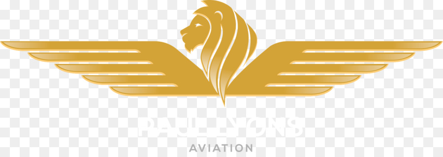 Pablo Lyons De La Aviación，Logotipo PNG