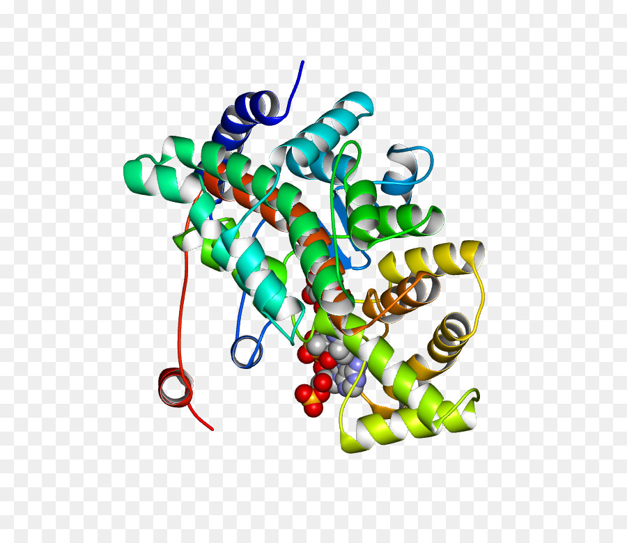 Arte，El Cuerpo De La Joyería PNG