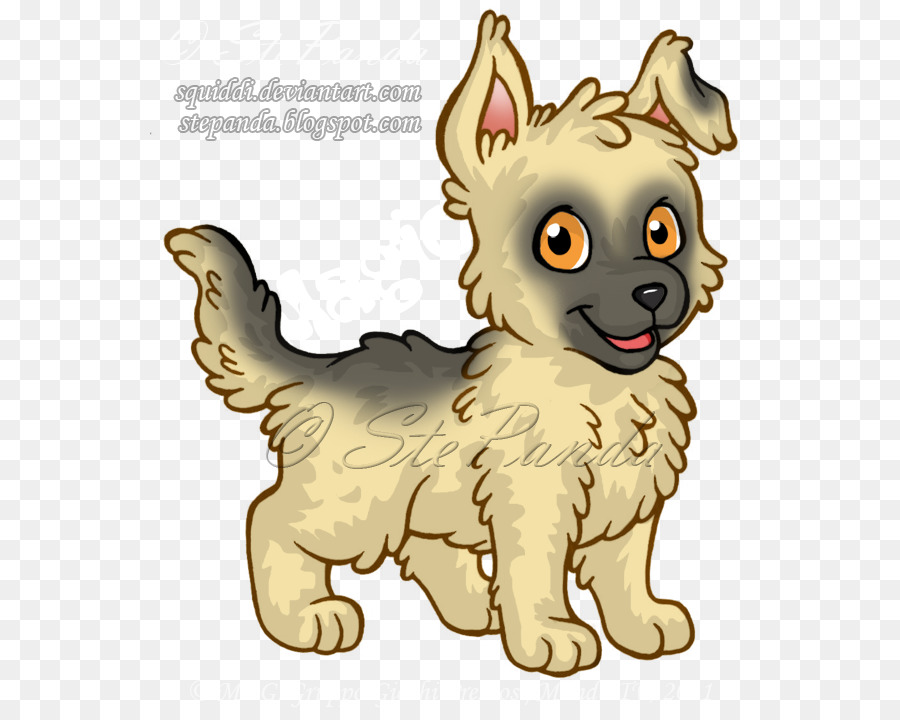 Cachorro，Gatito PNG