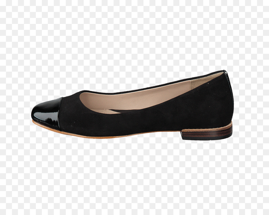 El Ballet Plana，Zapato PNG