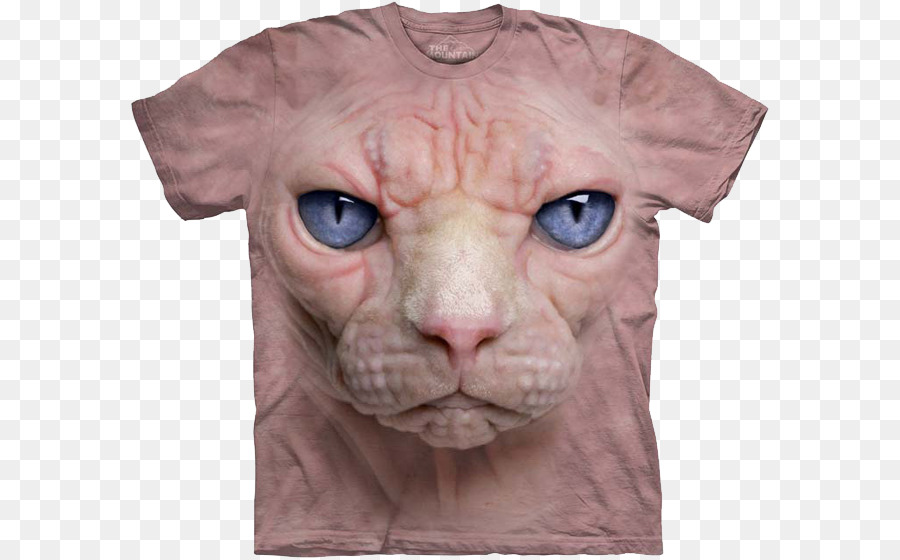 Camiseta，Gato PNG