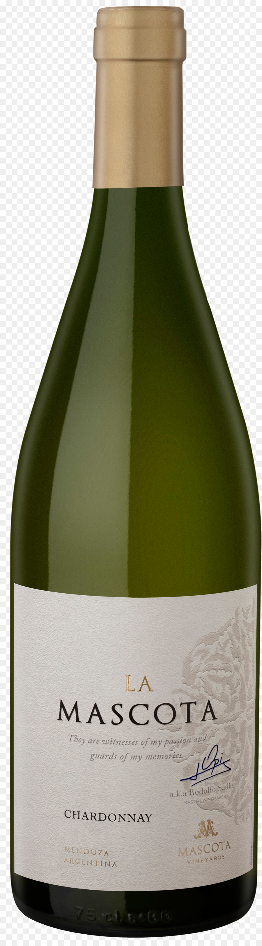 Vino Blanco，Sauvignon Blanc PNG