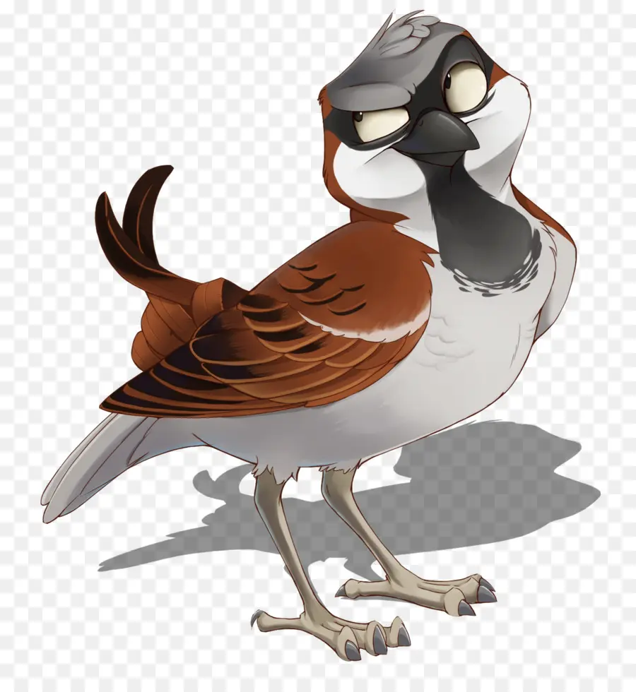 Pájaro De Dibujos Animados，Plumas PNG