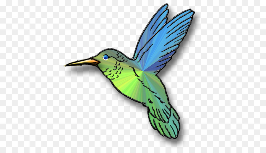 Colibrí，Aves PNG