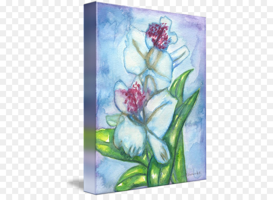 Diseño Floral，Pintura De Acuarela PNG