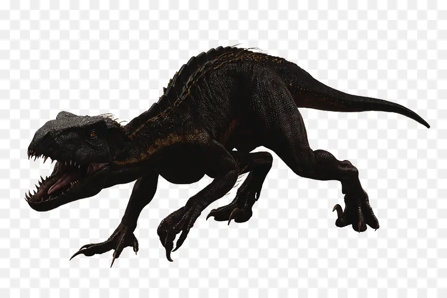 Velociraptor，Jurassic Evolución En El Mundo PNG