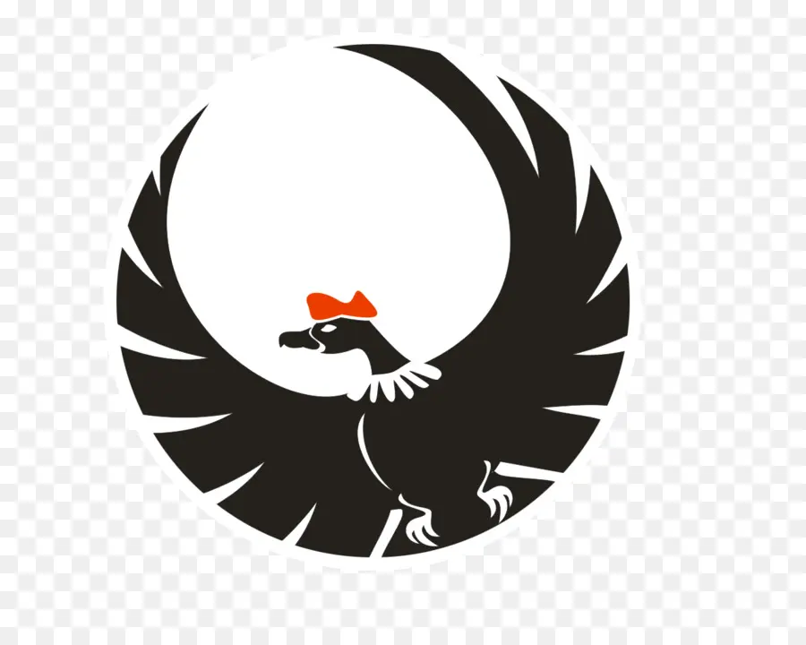 Pájaro，águila PNG