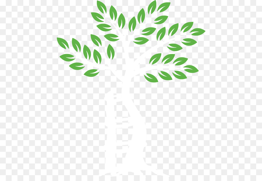 Árbol，Hojas PNG