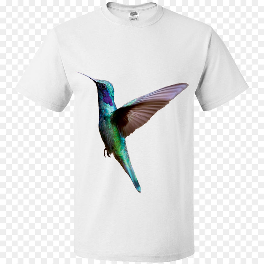 Camiseta，Colibrí PNG