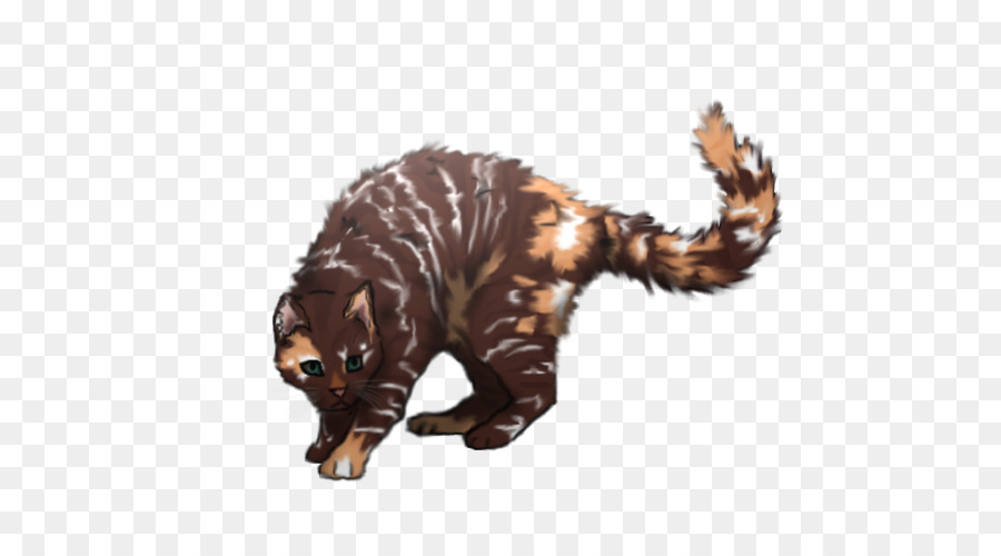 Gato，Los Guerreros PNG