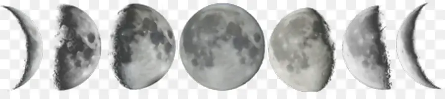 Fases Lunares，Lunar PNG