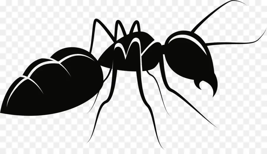 Hormiga，Mosquito PNG