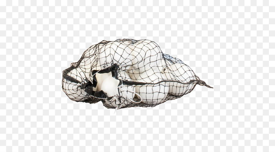 Pelota，Deporte PNG