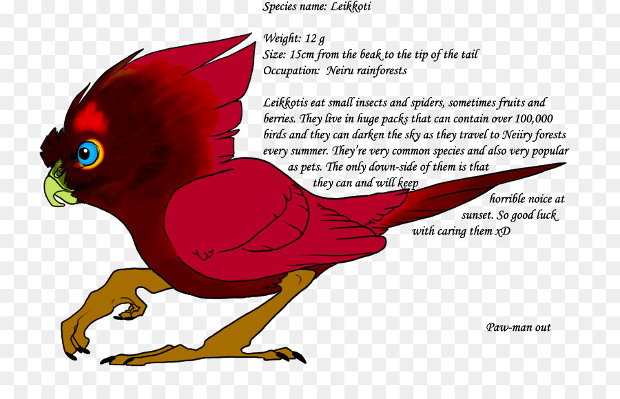 Guacamayo，Loro PNG