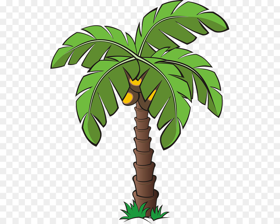 Arecaceae，Metarchivo De Windows PNG