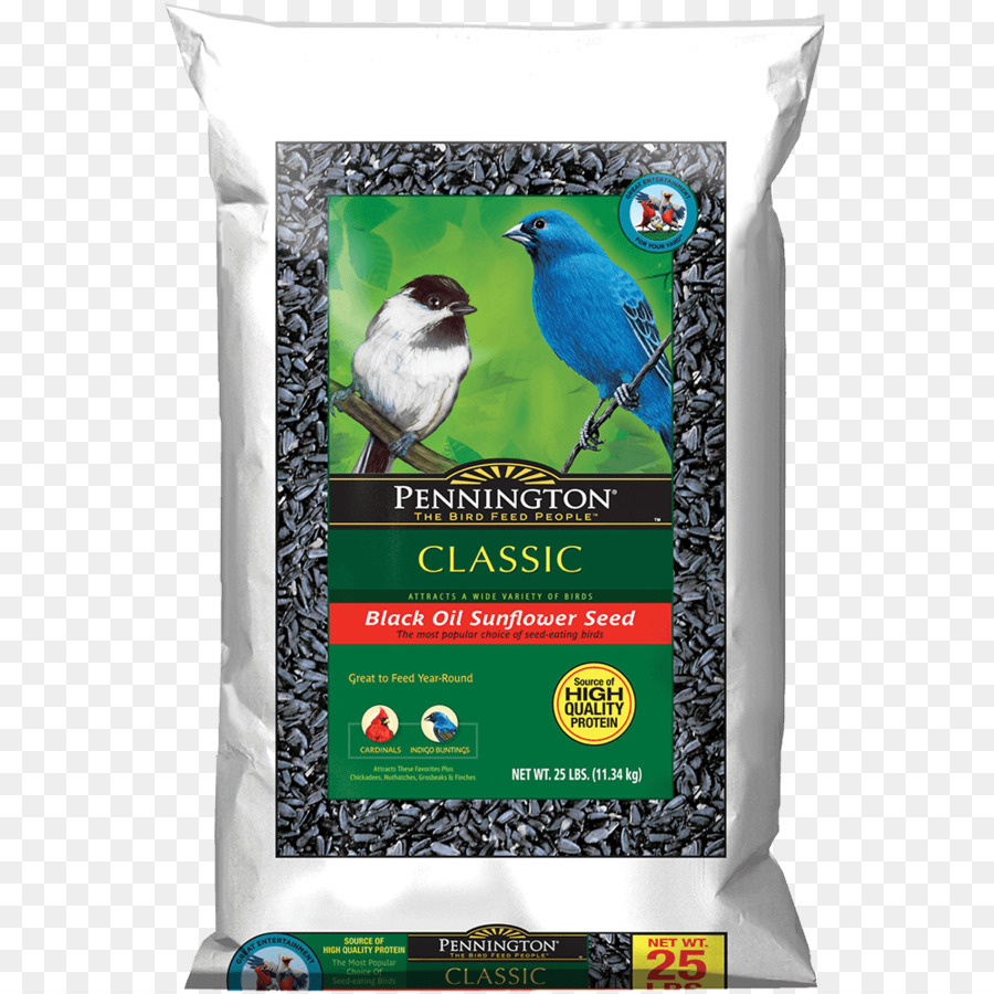 Comida De Pajaro，Hormiga PNG