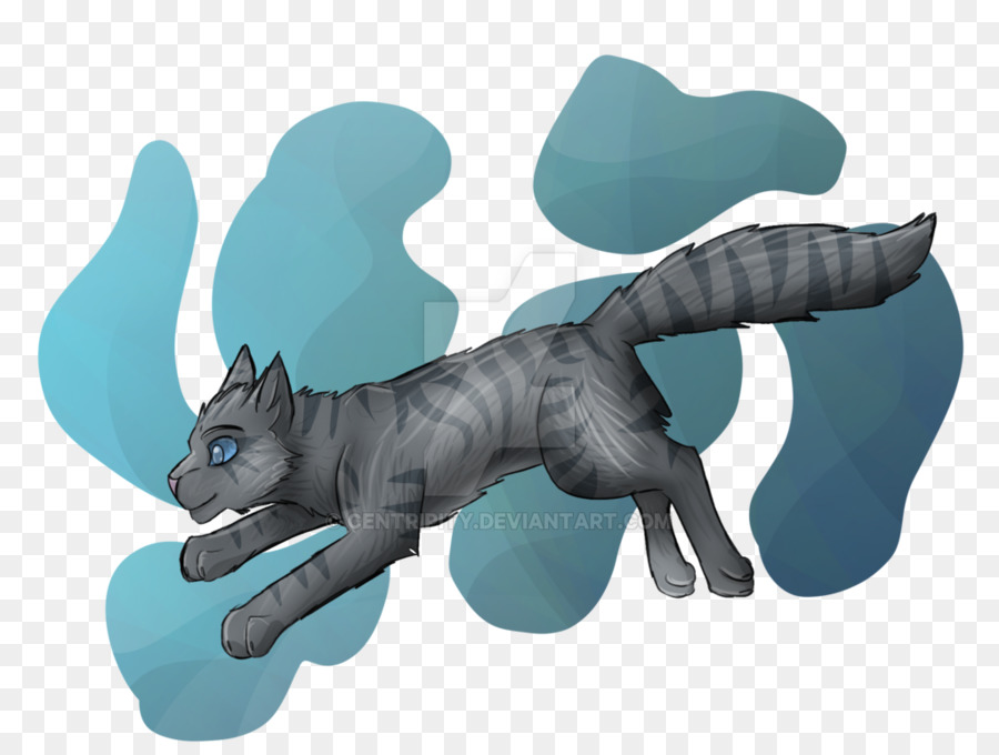 Gato，Caballo PNG