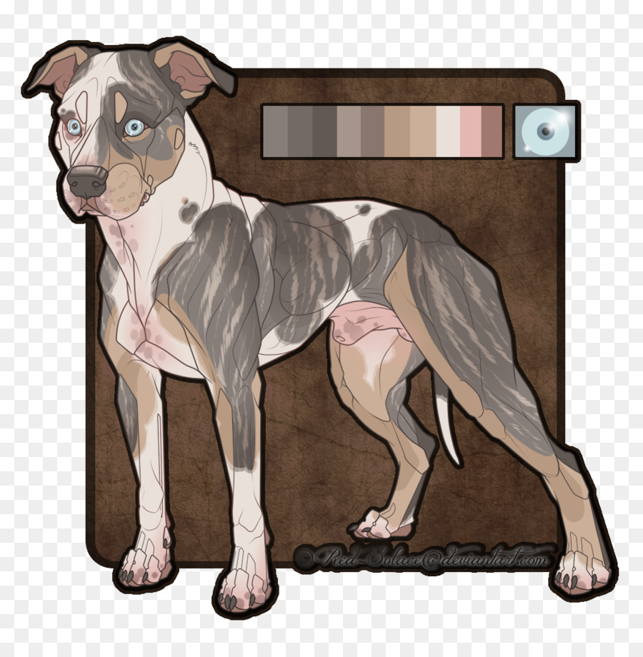 American Pit Bull Terrier，Staffordshire Terrier Americano PNG