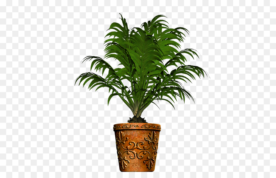 Planta，Verde PNG