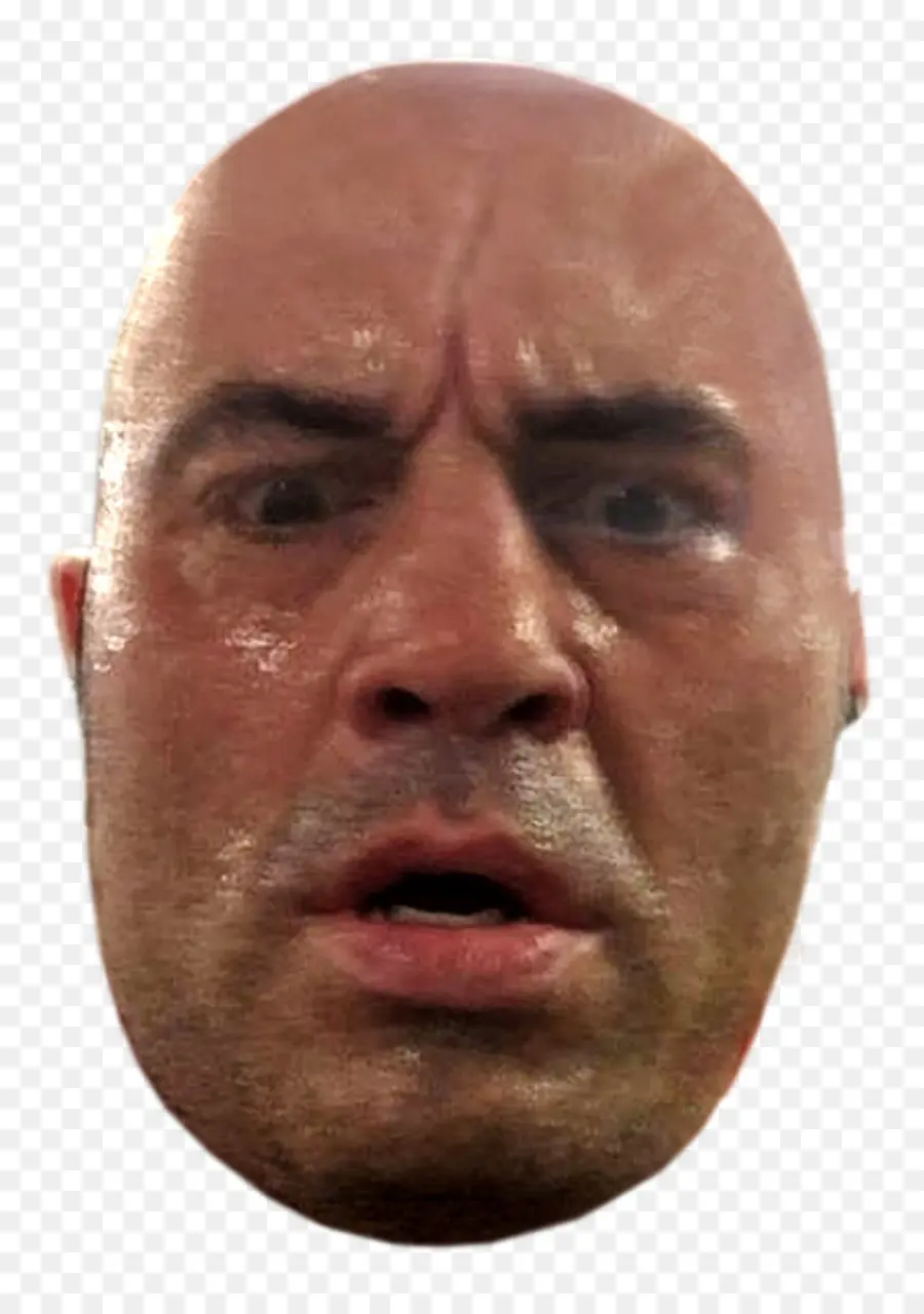 Joe Rogan，Ultimate Fighting Championship PNG