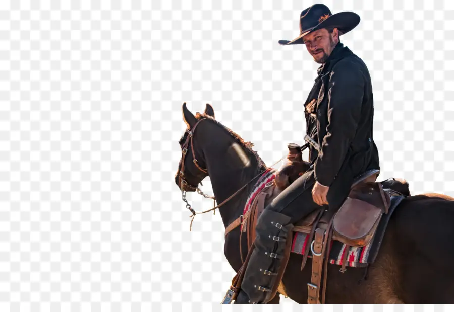 Vaquero A Caballo，Caballo PNG