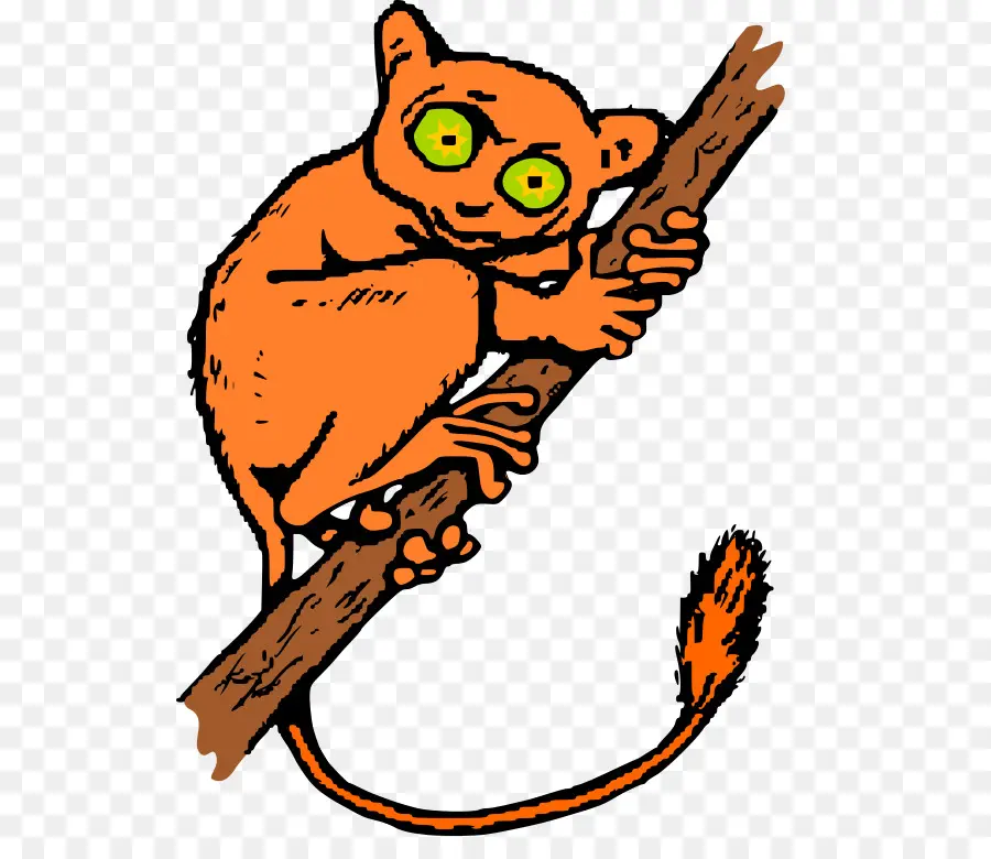 Animal De Dibujos Animados Naranja，Rama PNG