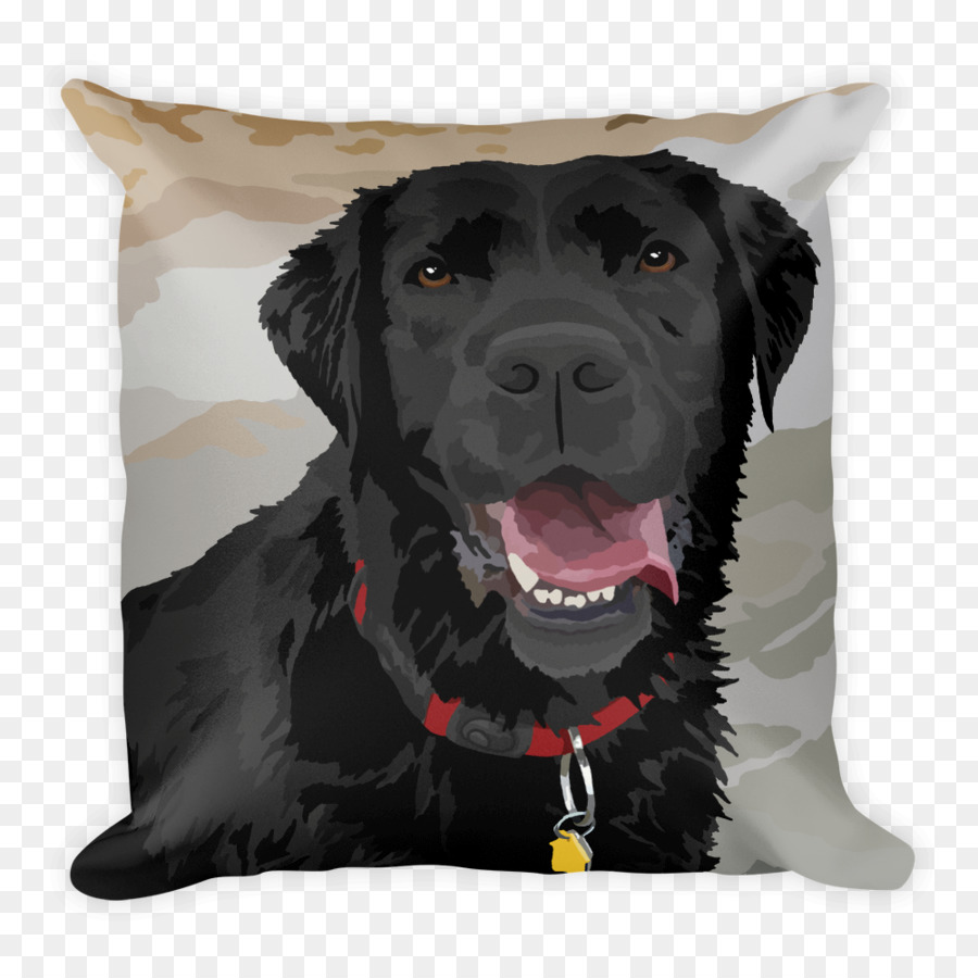 Labrador Retriever，Flatcoated Retriever PNG