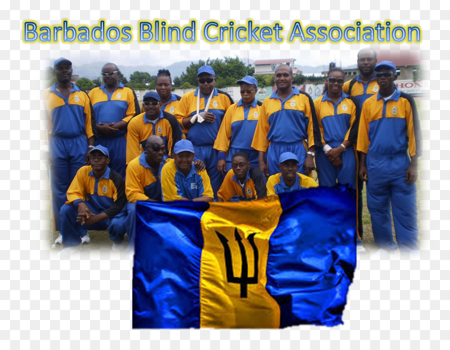 Barbados，Deporte De Equipo PNG