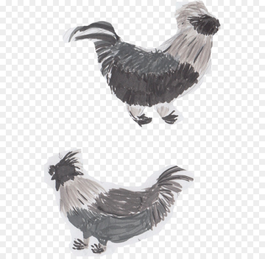 Gallo，Buitre PNG