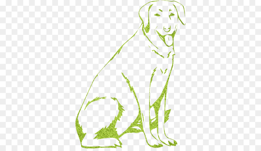 Labrador Retriever，Cachorro PNG