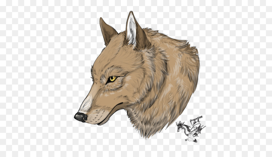 Lobo，Salvaje PNG