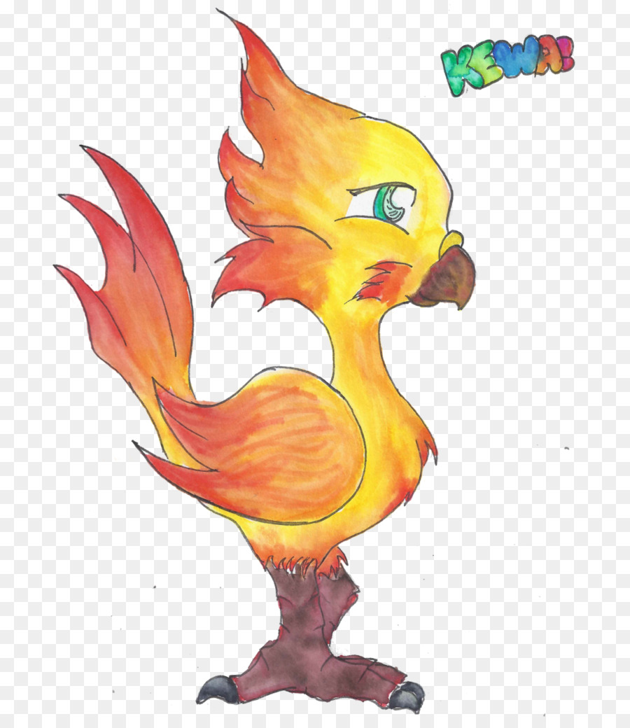 Gallo，Pico PNG