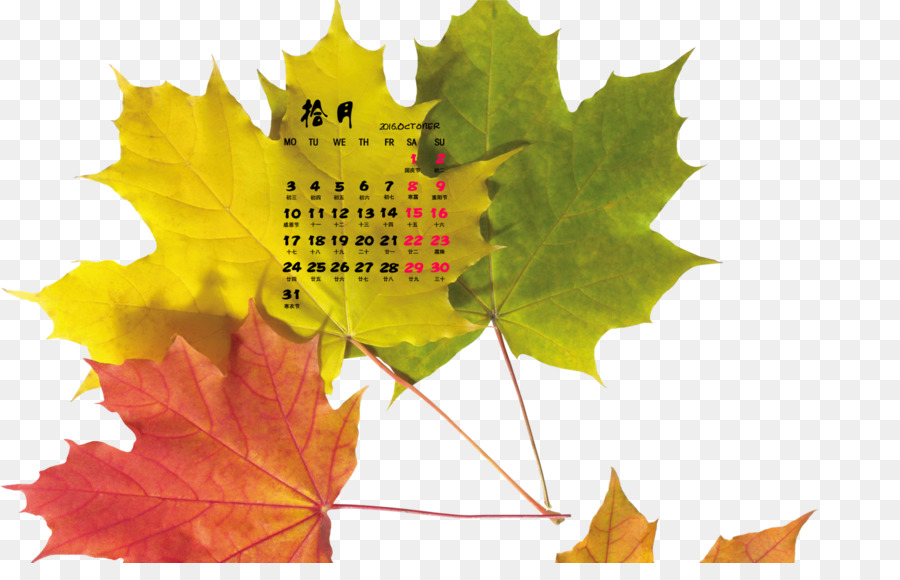 Calendario De Hojas，Otoño PNG