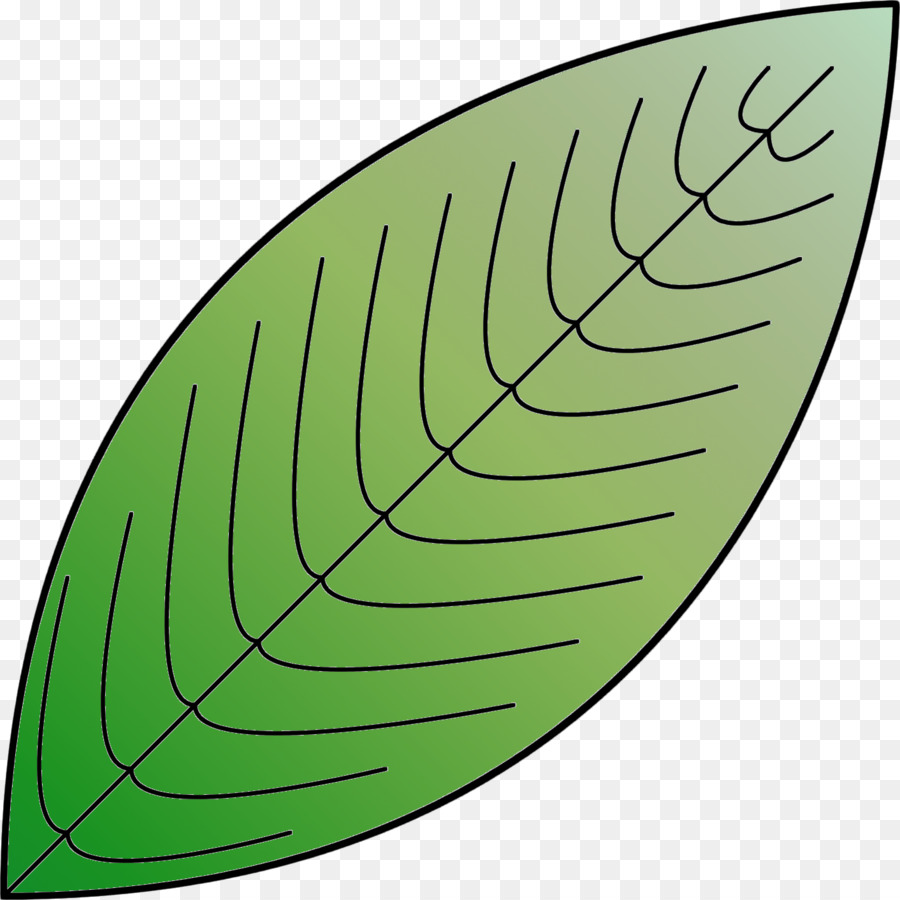 Hoja，Verde PNG