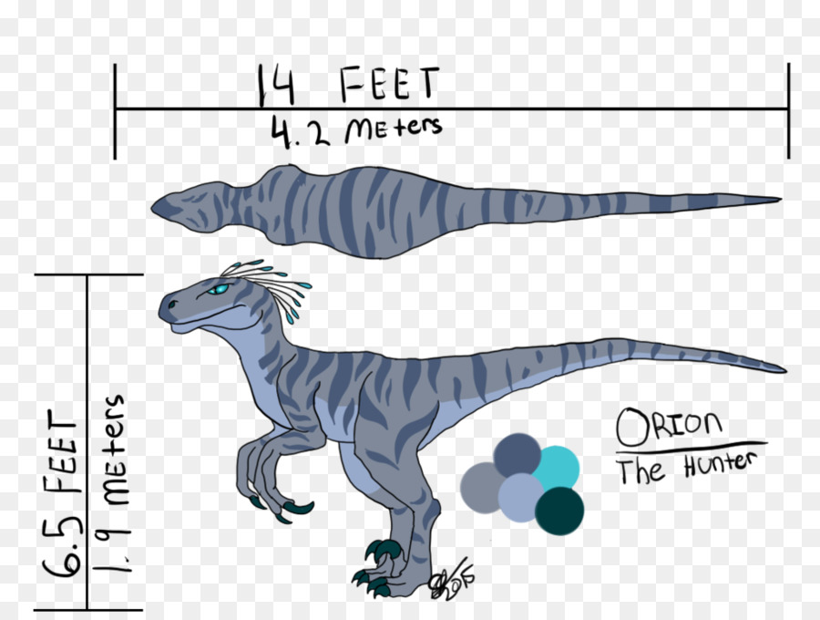 Velociraptor，Tyrannosaurus PNG