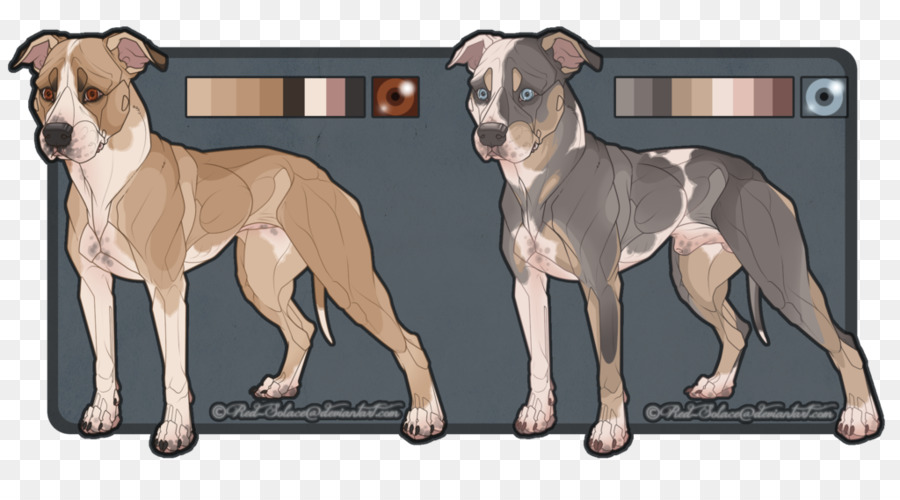 American Pit Bull Terrier，Raza De Perro PNG