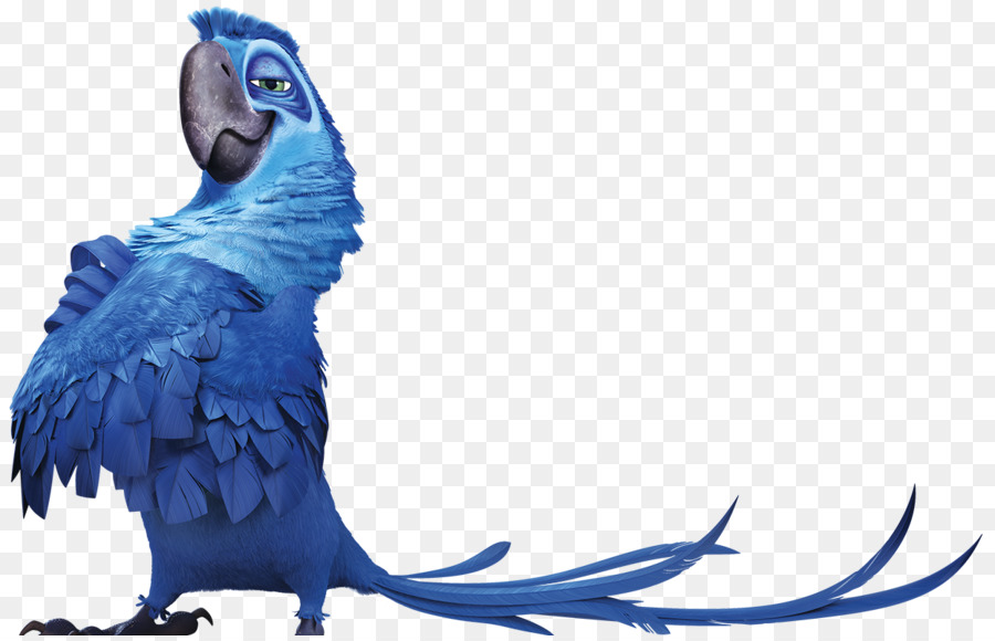 Pájaro Azul，Animado PNG