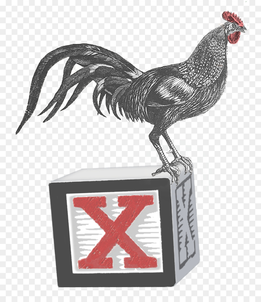 Gallo，Taza PNG