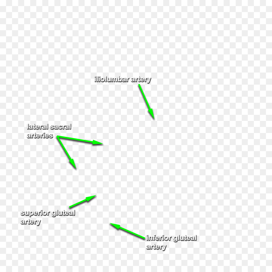 Marca，Diagrama De PNG