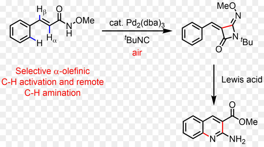 Benzimidazoles，Carbonhydrogen Activación Del Enlace PNG