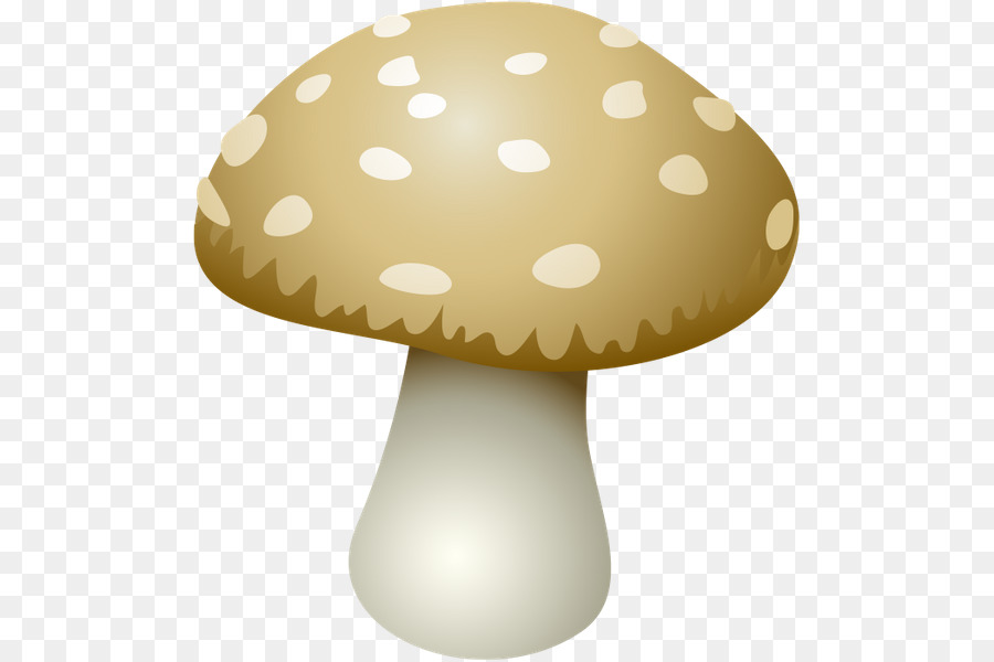 Seta，Shiitake PNG