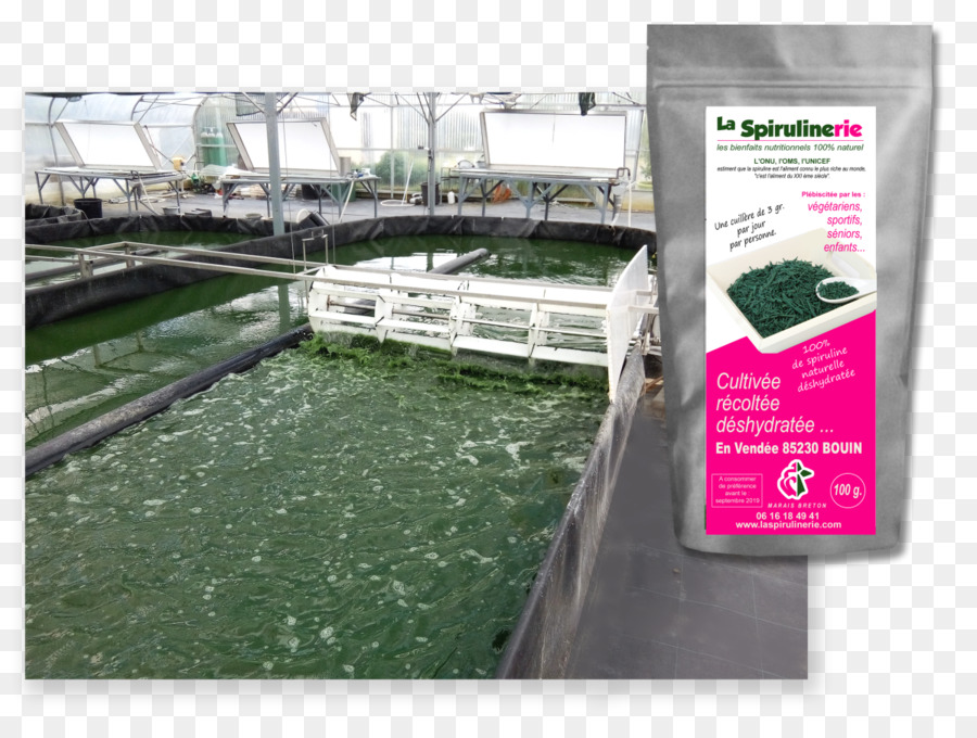 Los Recursos De Agua，La Espirulina PNG