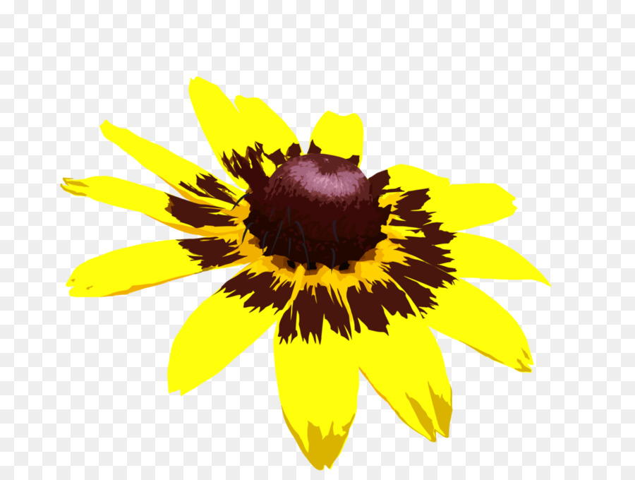 Girasol Amarillo，Flor PNG