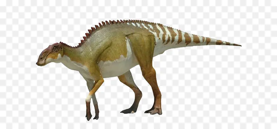 Edmontosarurus，Brachylophosaurus PNG