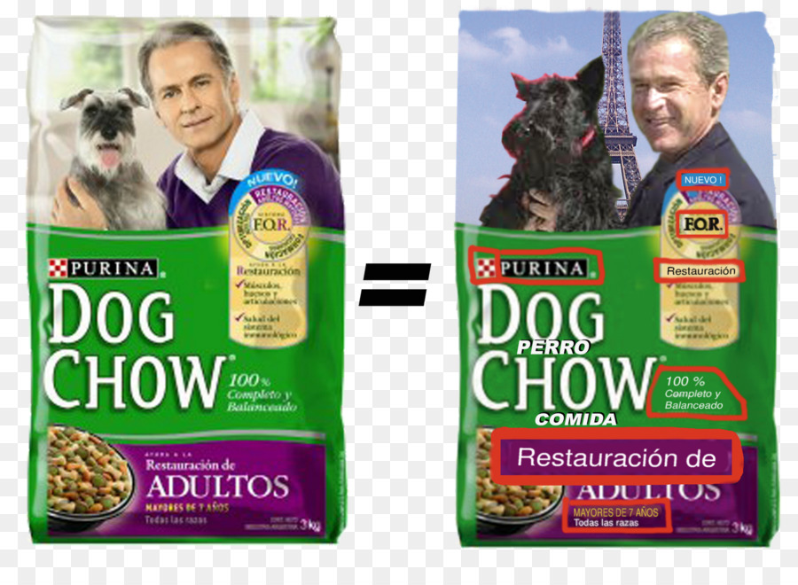 Perro Chow，Raza De Perro PNG