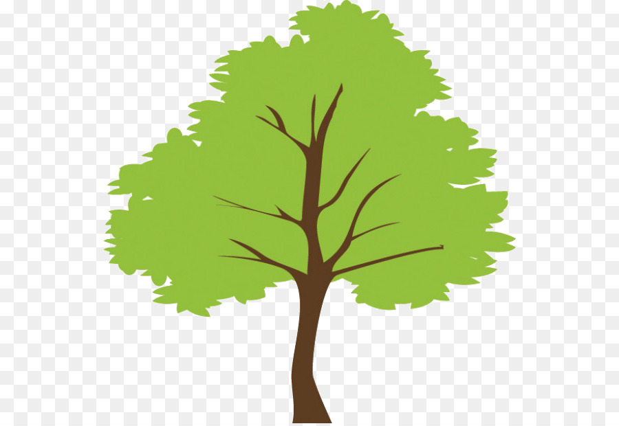 Árbol，Dibujo PNG